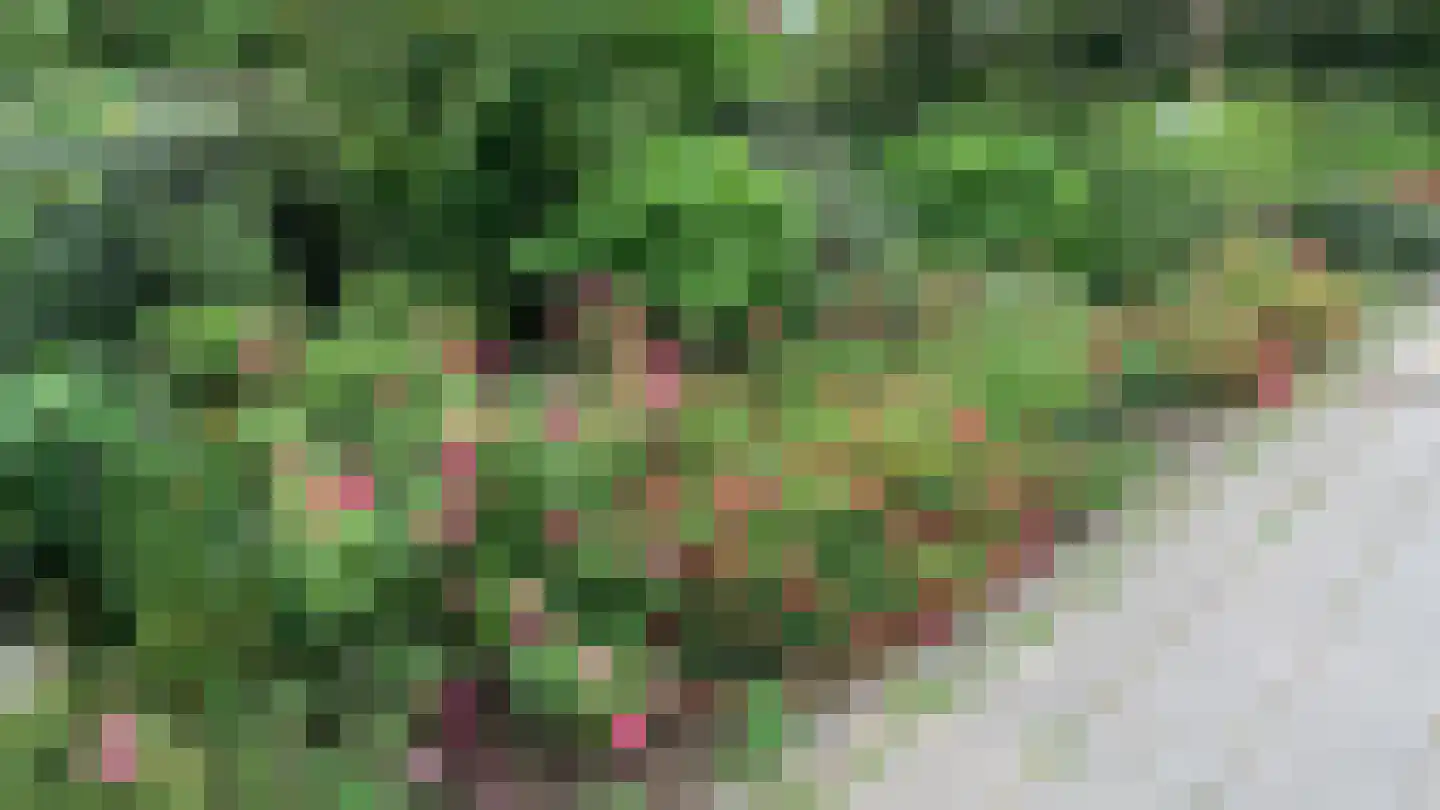Roggelseweg 34 Haelen thumbnail 66