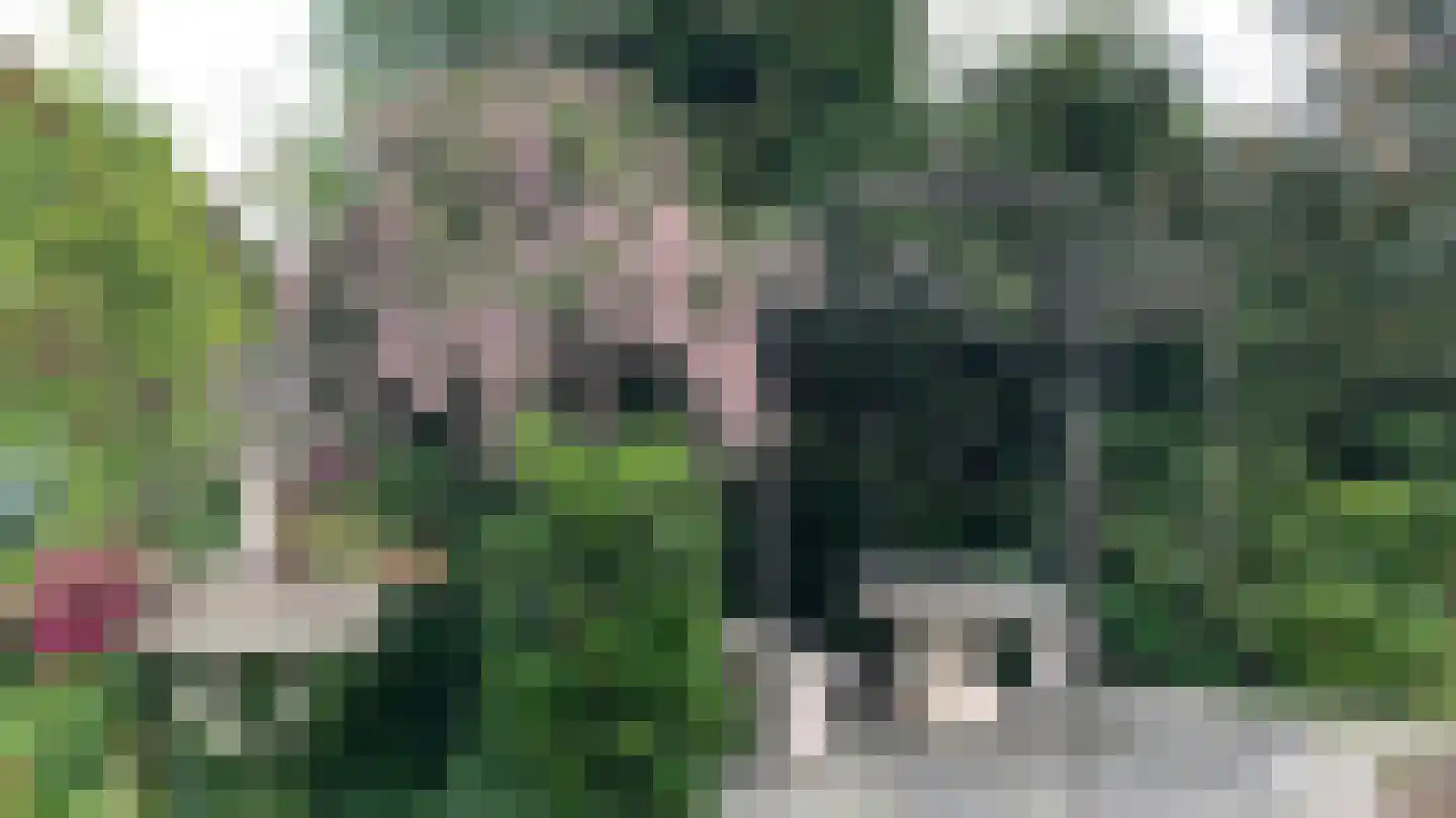 Roggelseweg 34 Haelen thumbnail 67