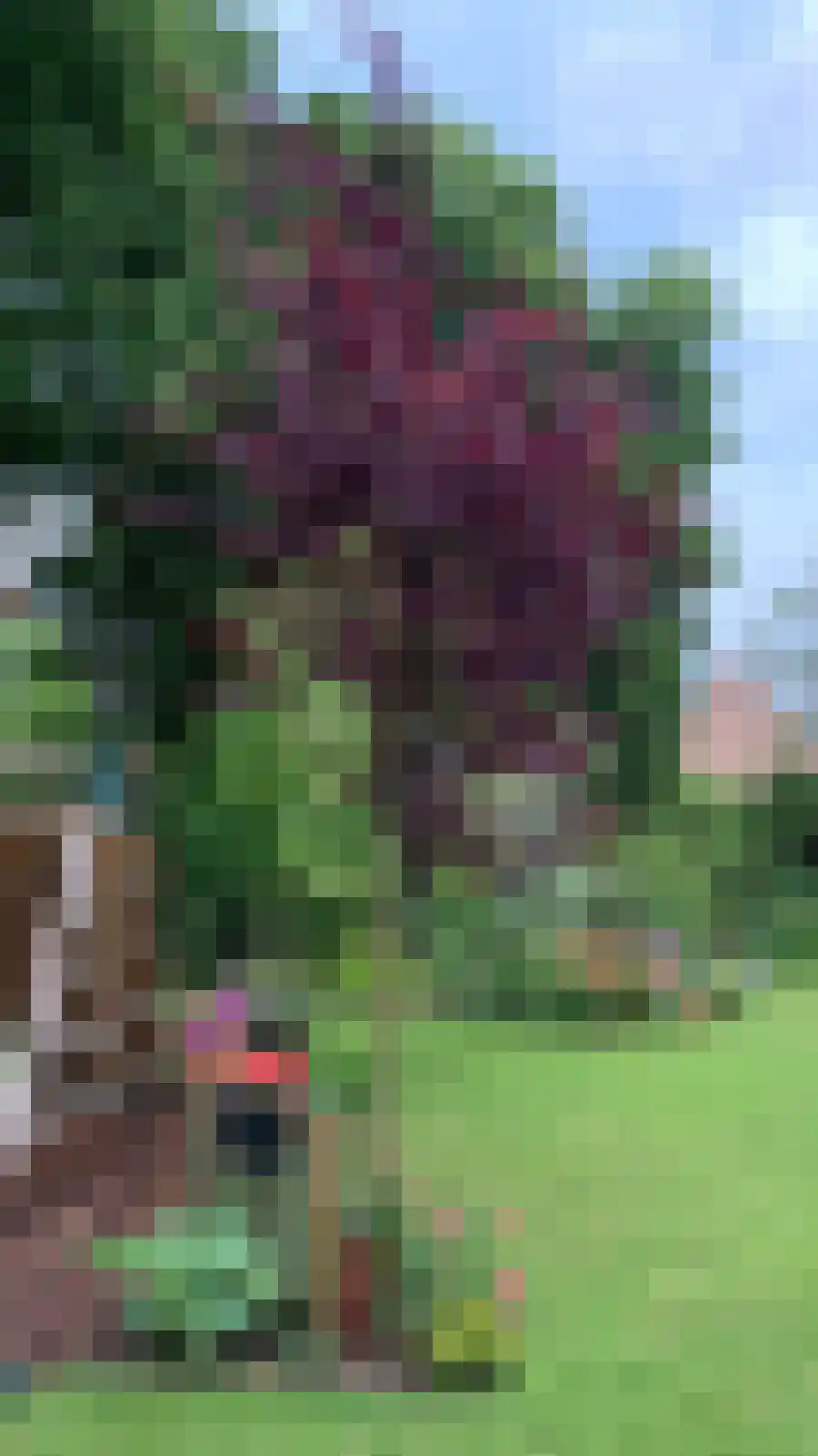 Roggelseweg 34 Haelen thumbnail 68