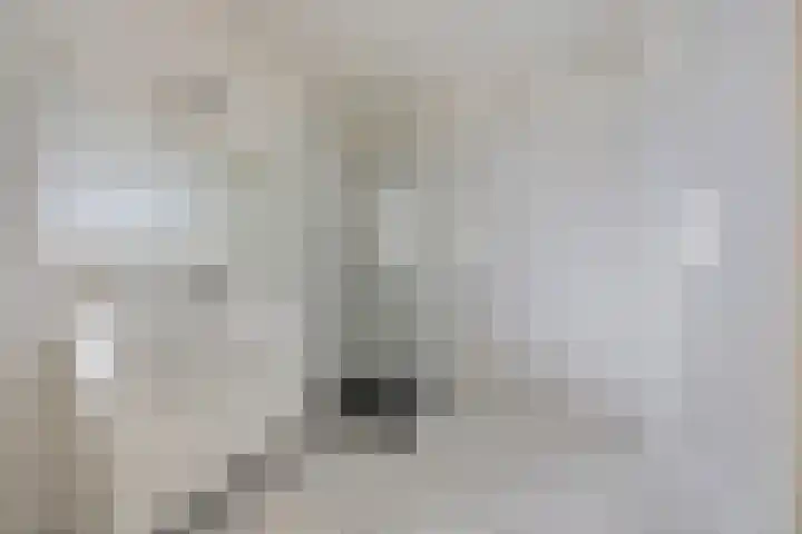 Roggelseweg 39 B 6 Helden thumbnail 16