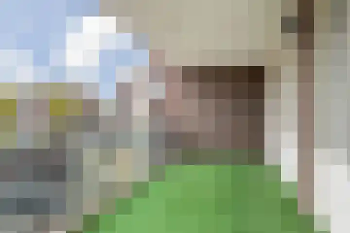 Roggelseweg 39 B 6 Helden thumbnail 18