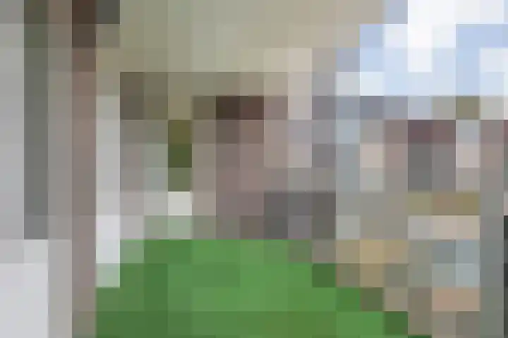 Roggelseweg 39 B 6 Helden thumbnail 19