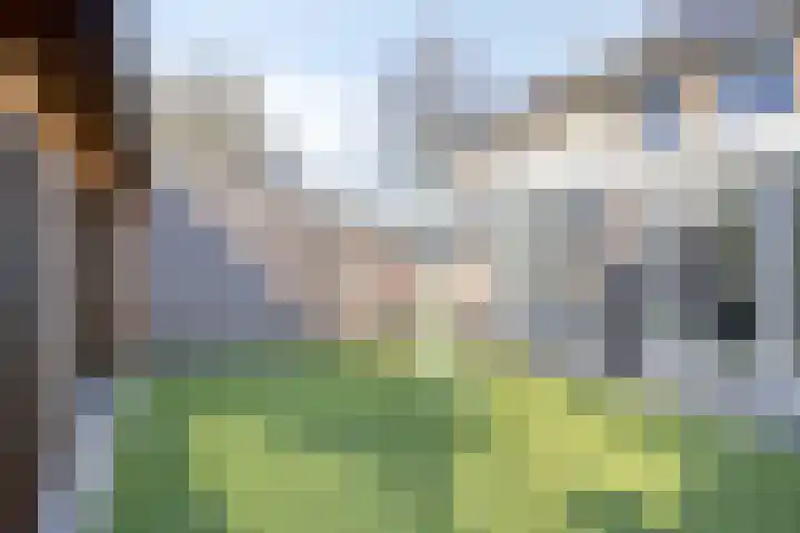 Roggelseweg 4 Helden thumbnail 34
