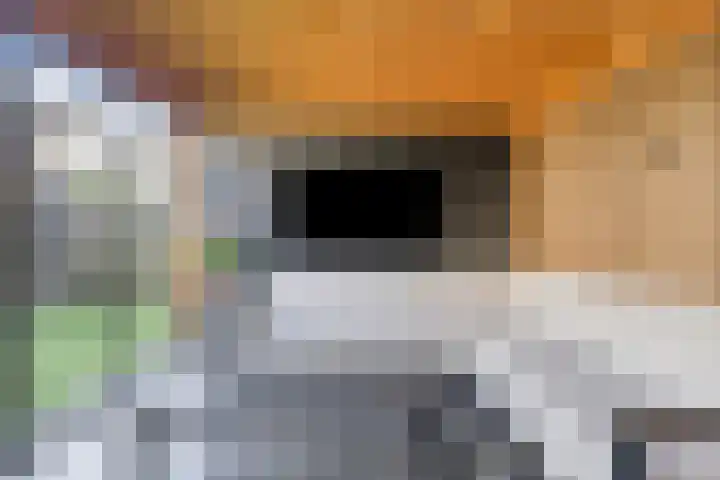 Roggelseweg 4 Helden thumbnail 37