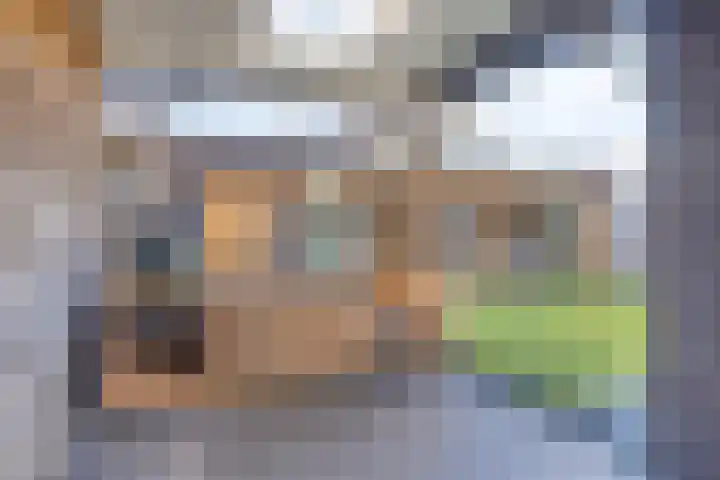 Roggelseweg 4 Helden thumbnail 42
