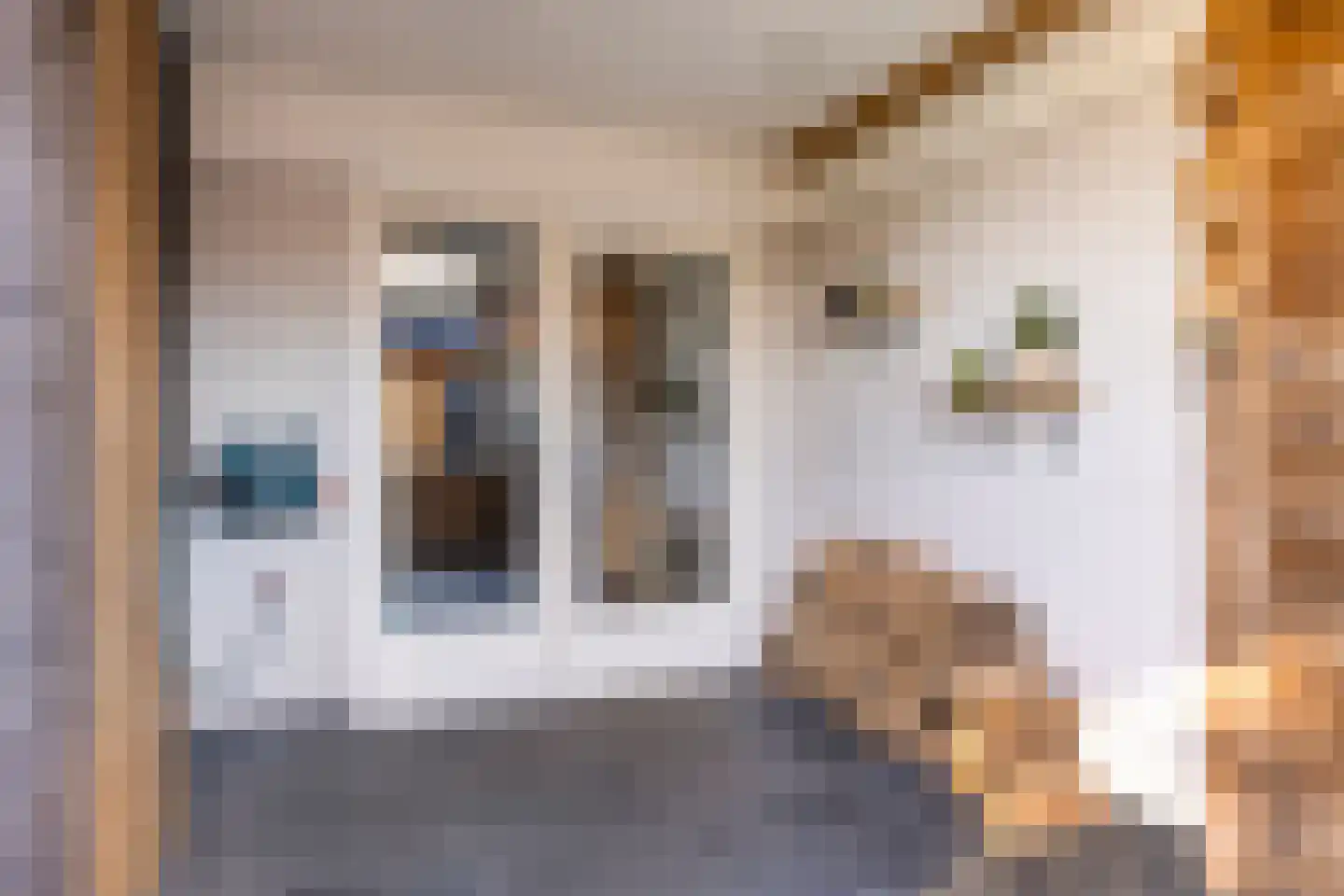 Roggelseweg 4 Helden thumbnail 43