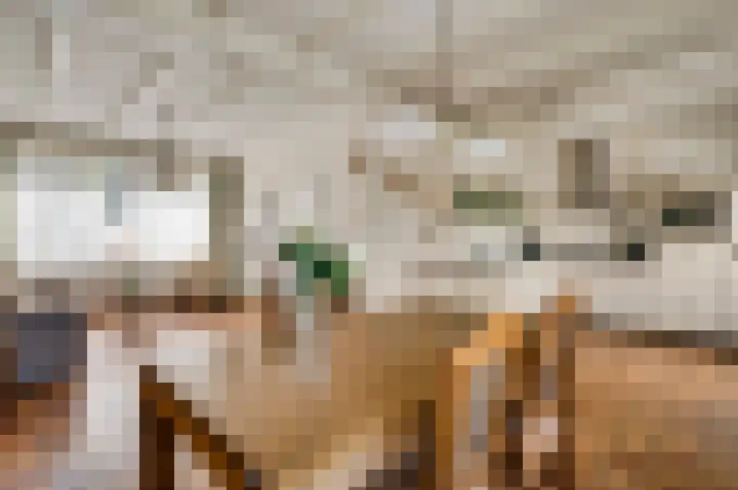 Roggelseweg 8 Helden thumbnail 15