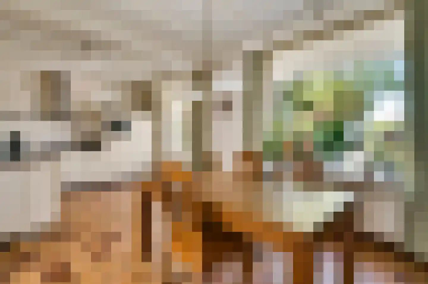 Roggelseweg 8 Helden thumbnail 16