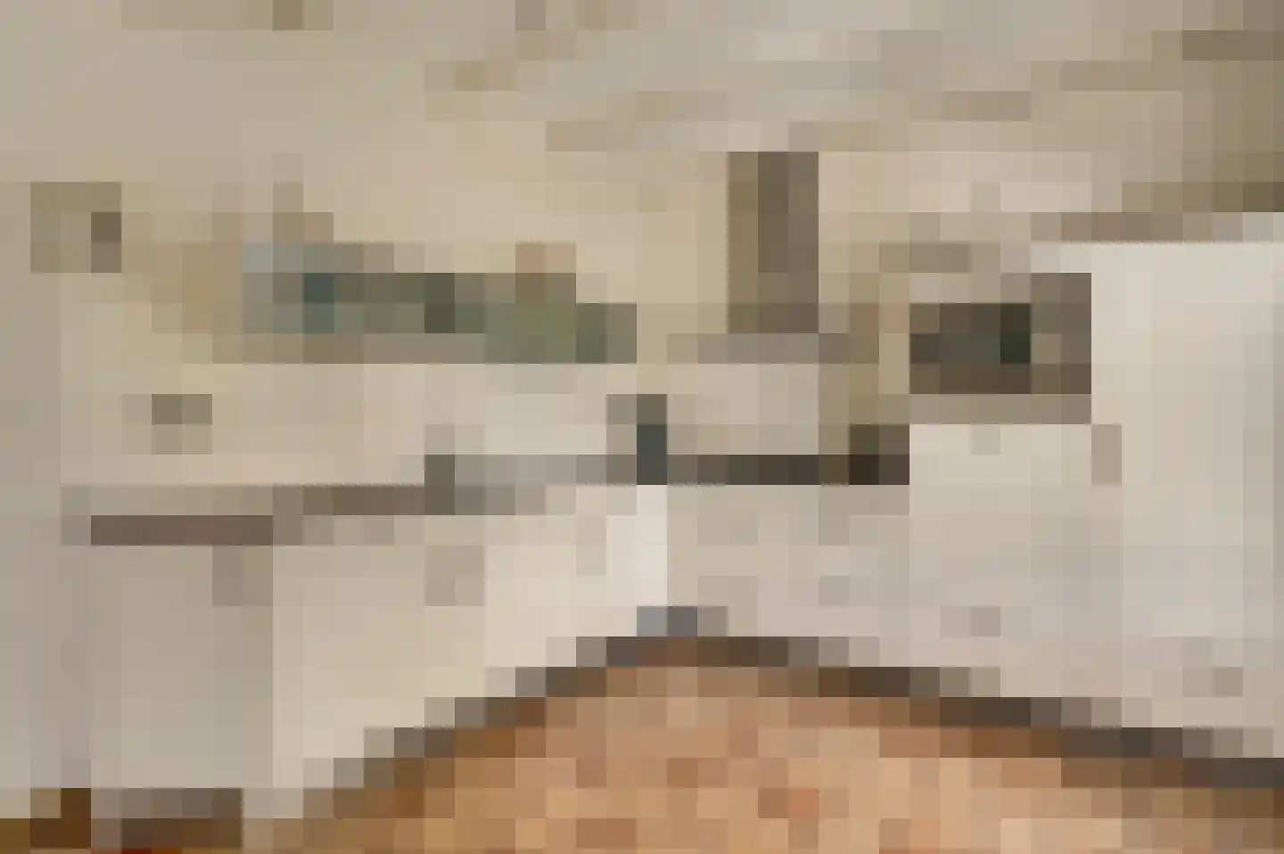 Roggelseweg 8 Helden thumbnail 17