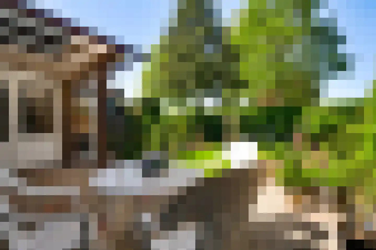 Roggelseweg 8 Helden thumbnail 21