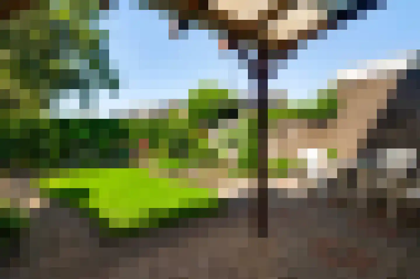 Roggelseweg 8 Helden thumbnail 22