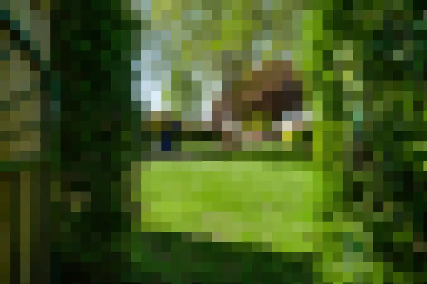 Roggelseweg 8 Helden thumbnail 26