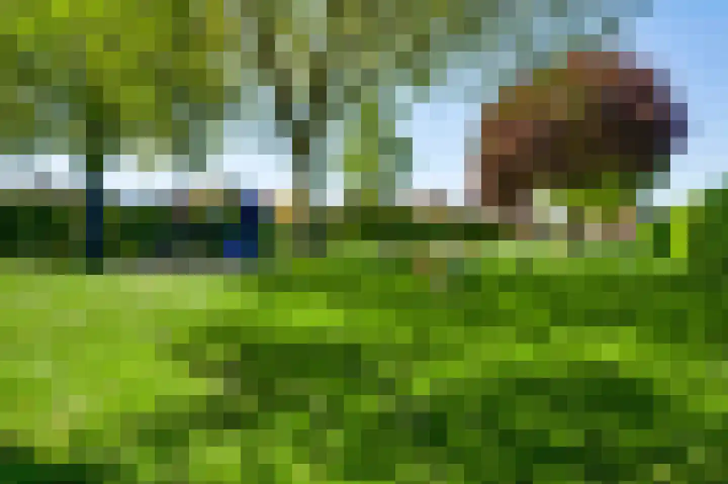 Roggelseweg 8 Helden thumbnail 27