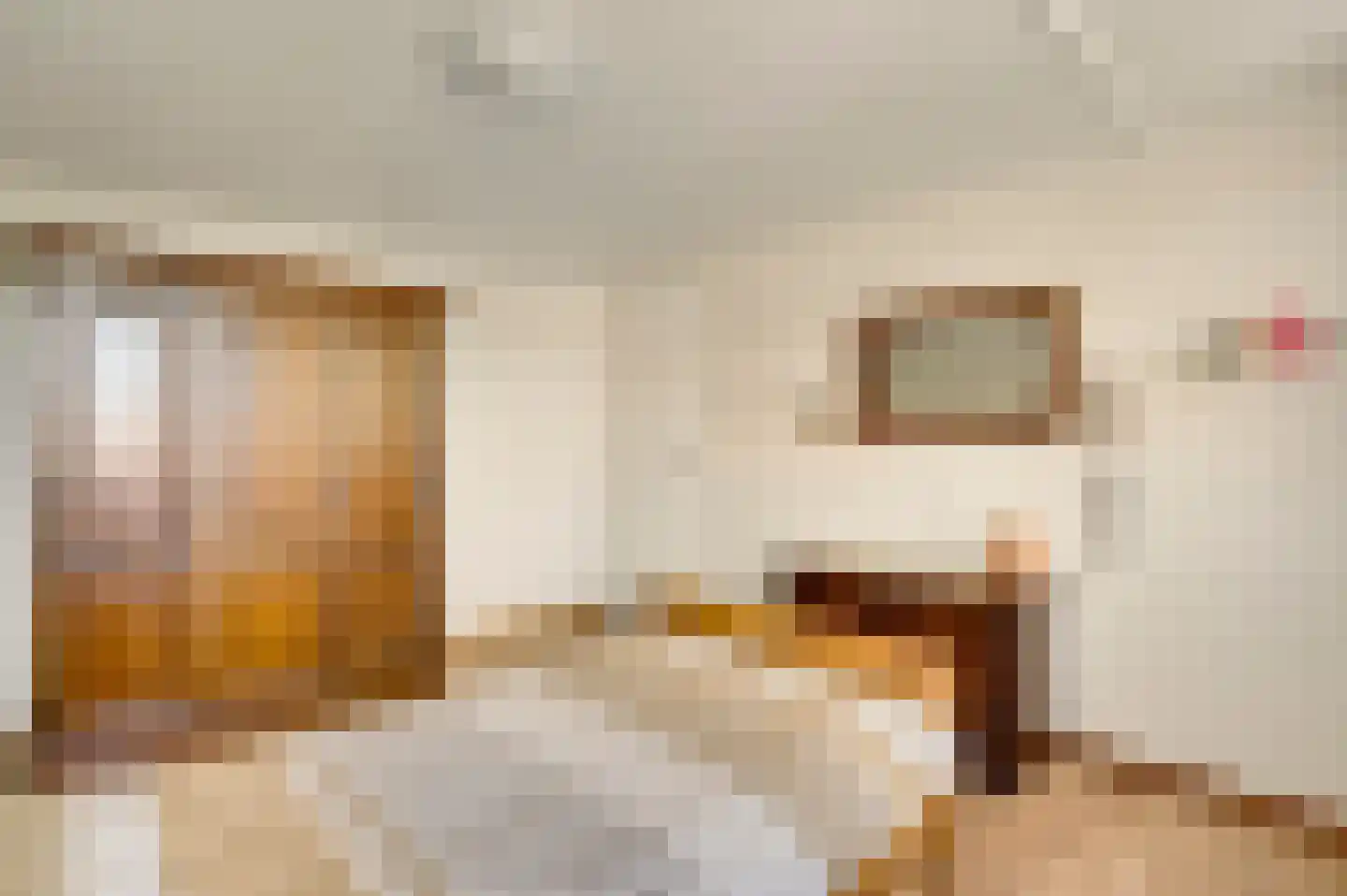 Roggelseweg 8 Helden thumbnail 31