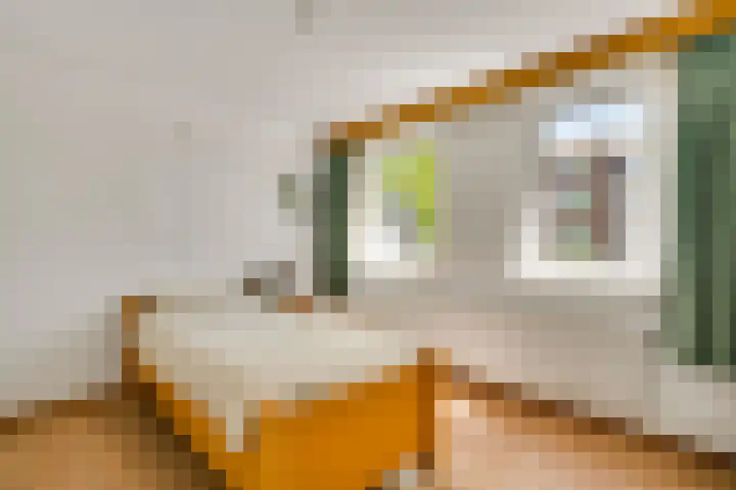 Roggelseweg 8 Helden thumbnail 34