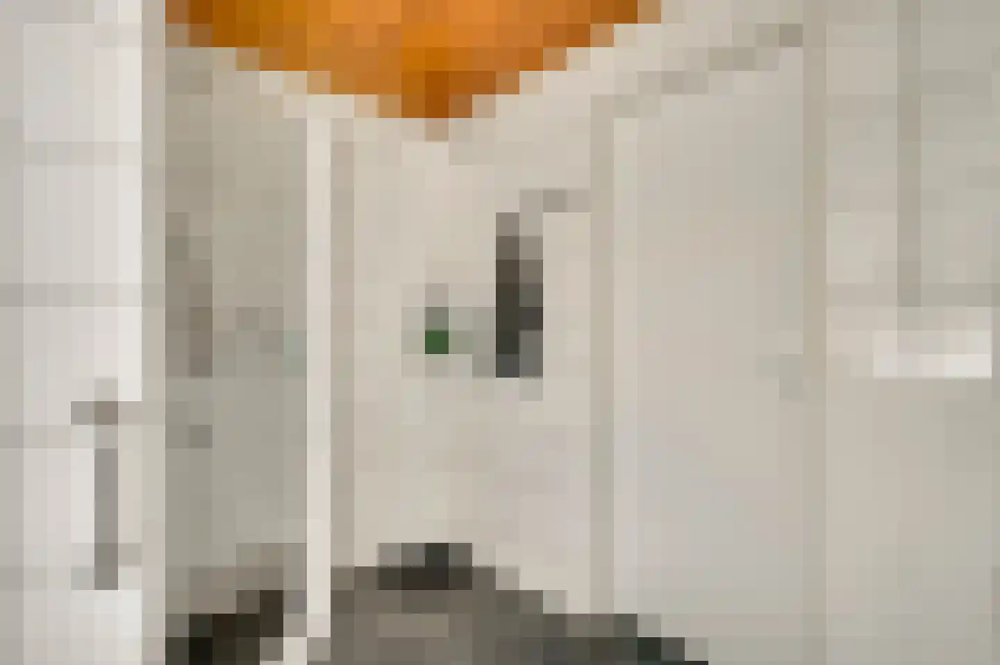 Roggelseweg 8 Helden thumbnail 38