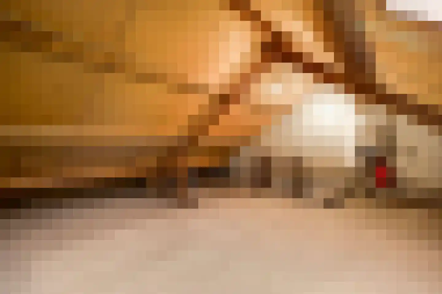 Roggelseweg 8 Helden thumbnail 40