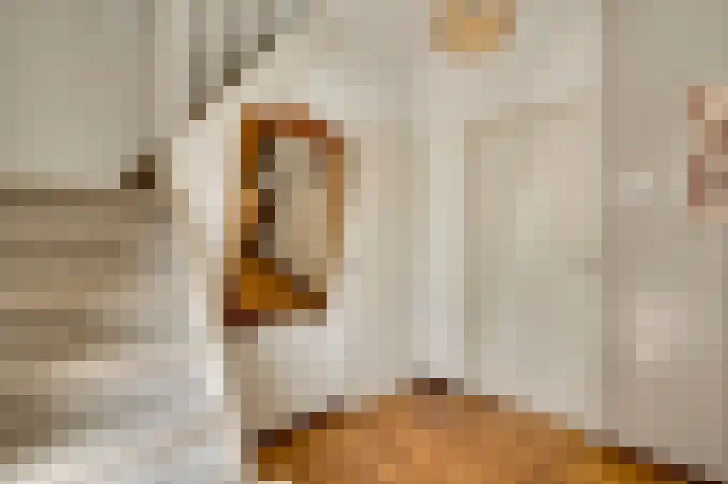 Roggelseweg 8 Helden thumbnail 8