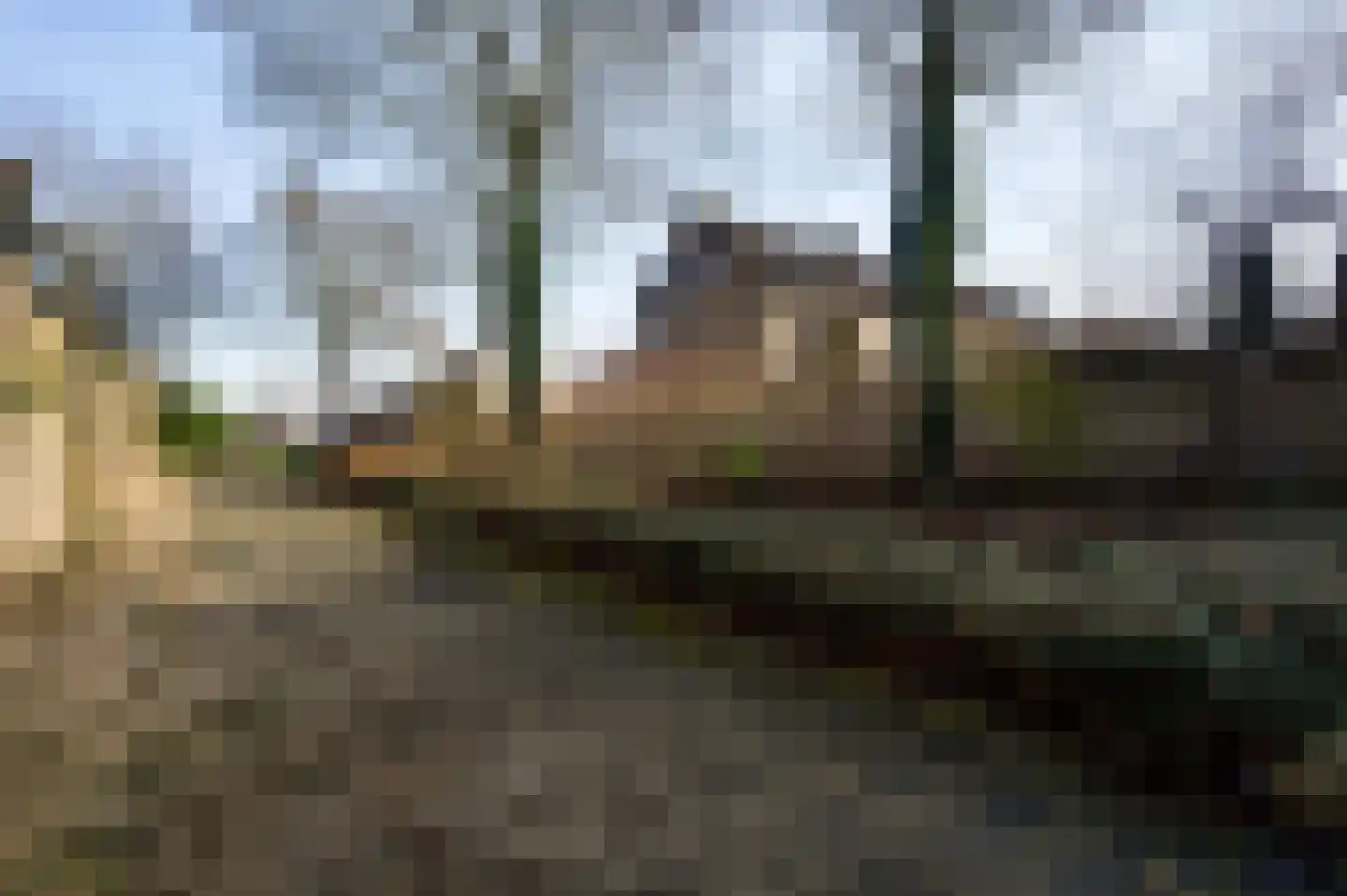 Roggelstraat 25 Weert thumbnail 39