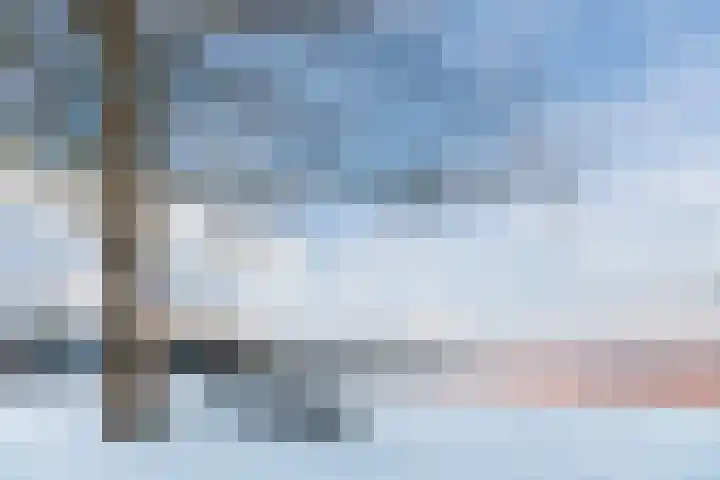 Roggemeet 2 Bergen op Zoom thumbnail 30