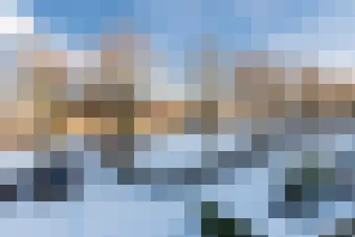 Roggemeet 2 Bergen op Zoom thumbnail 33