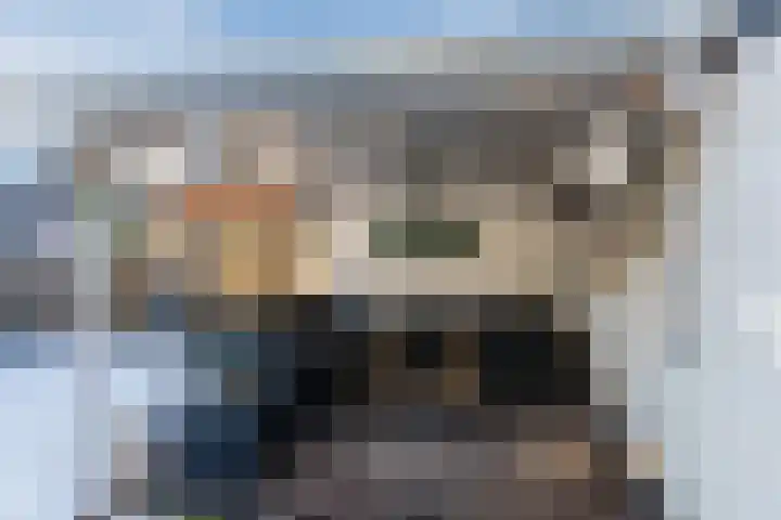 Roggemeet 2 Bergen op Zoom thumbnail 40