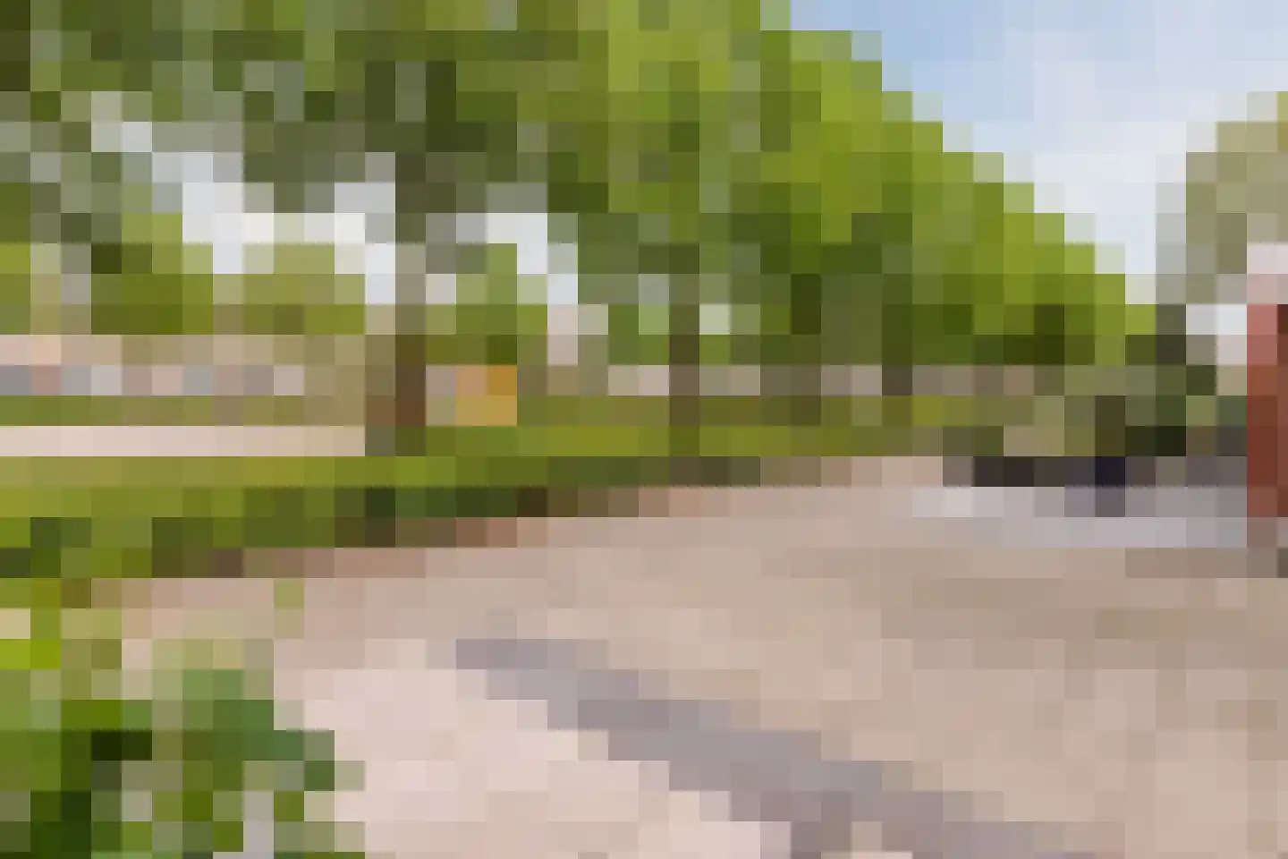 Roggemeet 6 Bergen op Zoom thumbnail 11