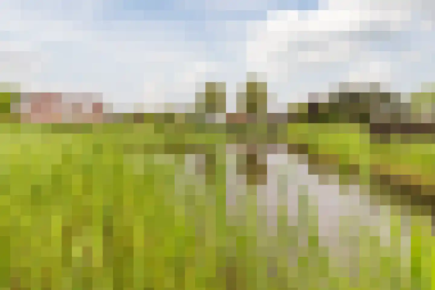 Roggemeet 6 Bergen op Zoom thumbnail 54