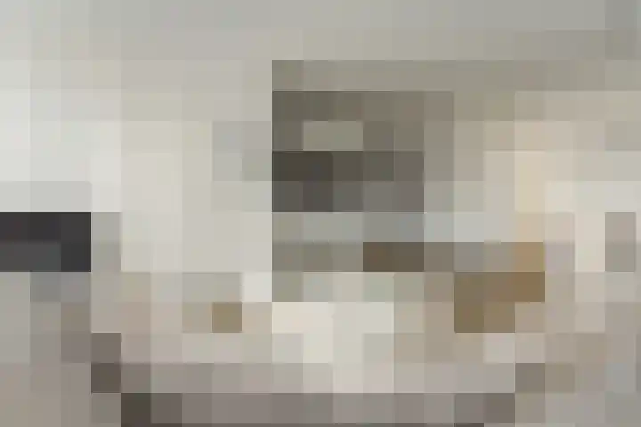 Roggemolenstraat 14 Joure thumbnail 10