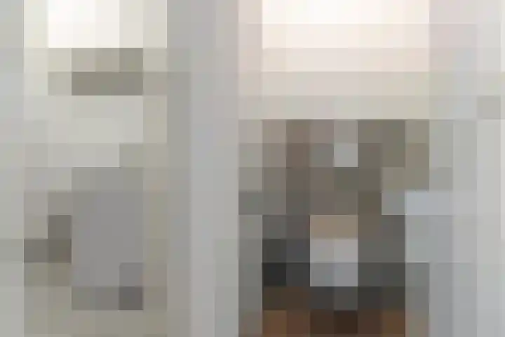 Roggemolenstraat 14 Joure thumbnail 12
