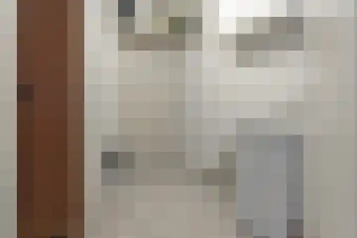 Roggemolenstraat 14 Joure thumbnail 13