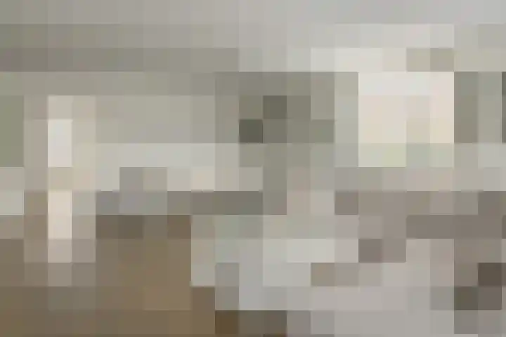 Roggemolenstraat 14 Joure thumbnail 15