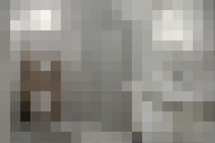 Roggemolenstraat 14 Joure thumbnail 21