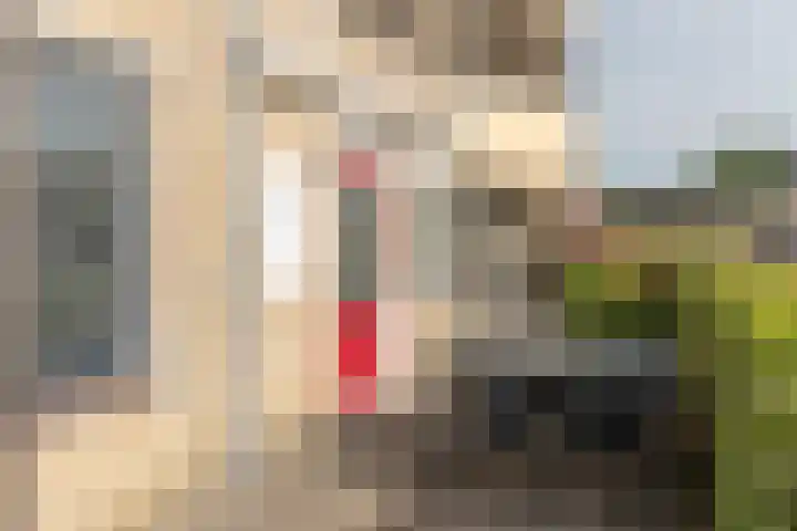 Roggemolenstraat 14 Joure thumbnail 23