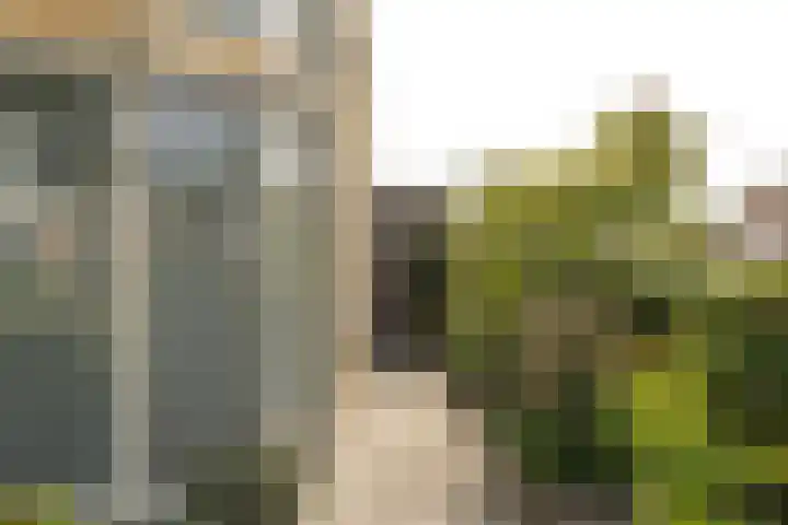 Roggemolenstraat 14 Joure thumbnail 27