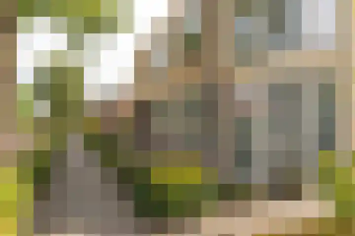 Roggemolenstraat 14 Joure thumbnail 28