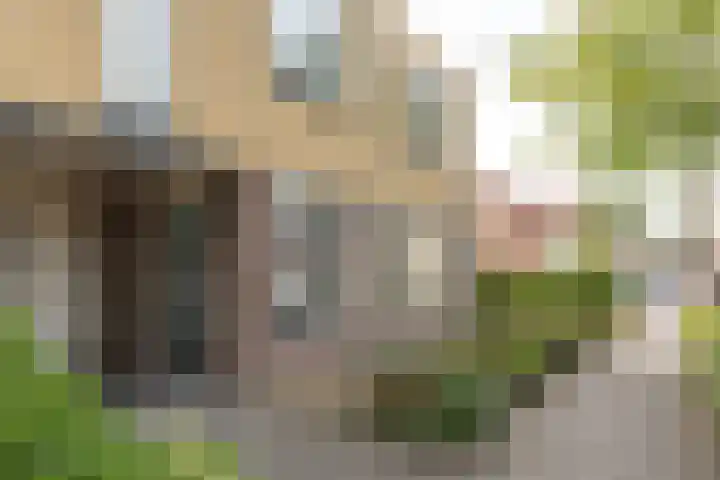 Roggemolenstraat 14 Joure thumbnail 31