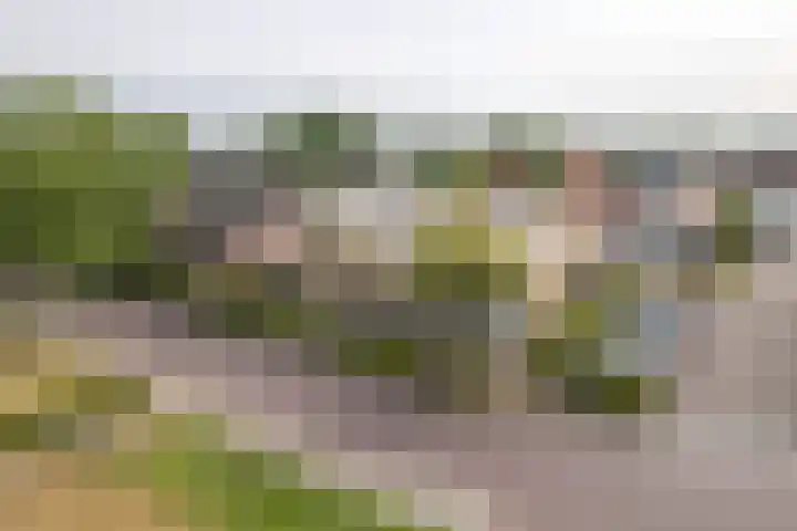 Roggemolenstraat 14 Joure thumbnail 32
