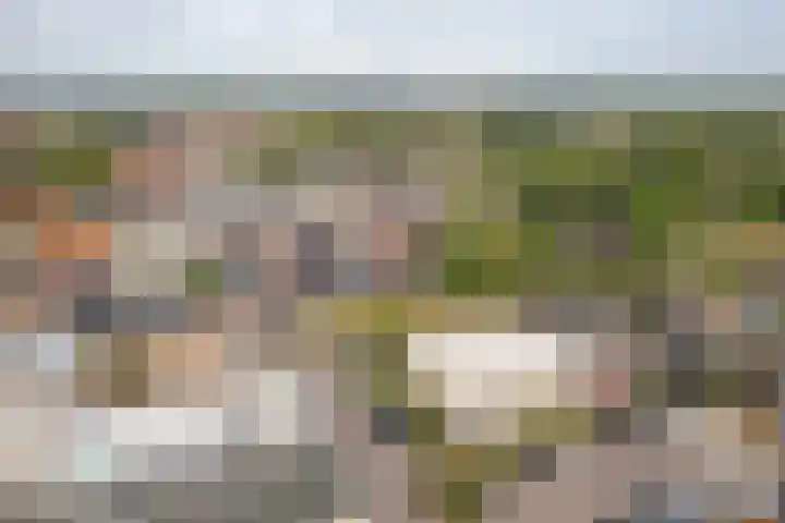 Roggemolenstraat 14 Joure thumbnail 33