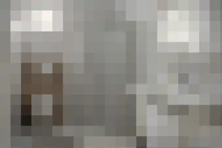 Roggemolenstraat 14 Joure thumbnail 5