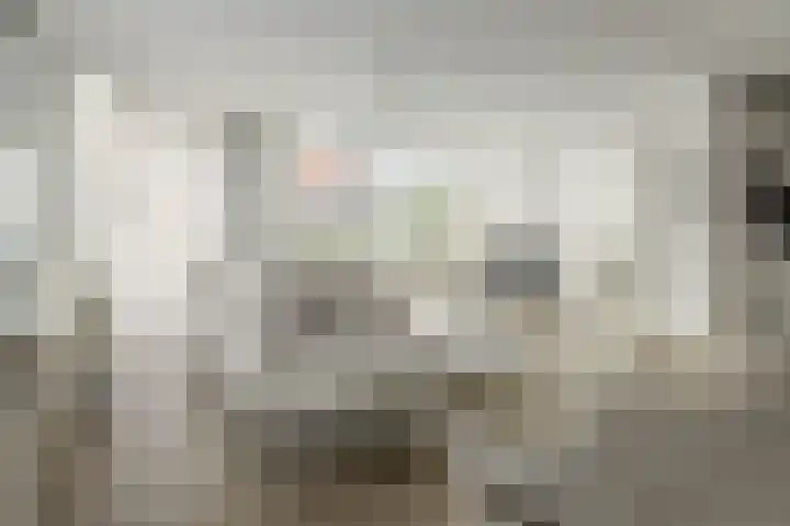 Roggemolenstraat 14 Joure thumbnail 9