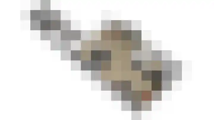 Roggemounewei 35 Burgum thumbnail 10