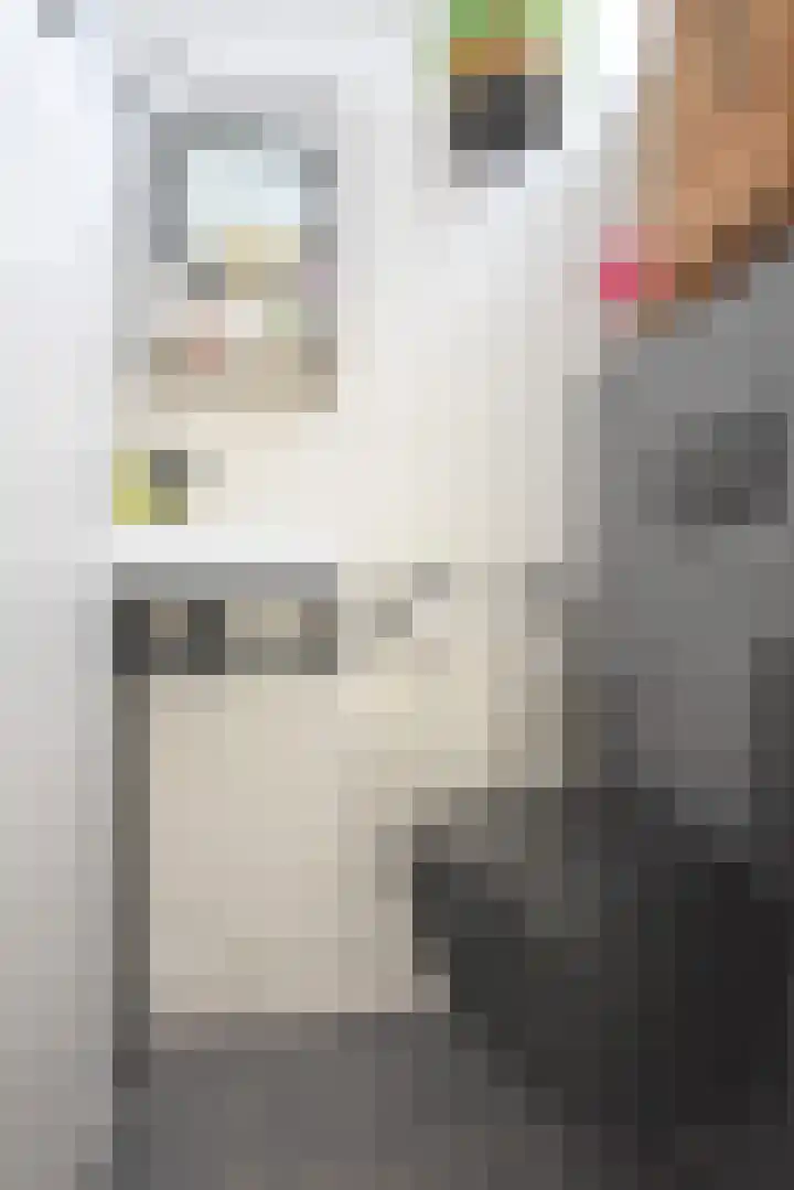 Roggemounewei 35 Burgum thumbnail 12