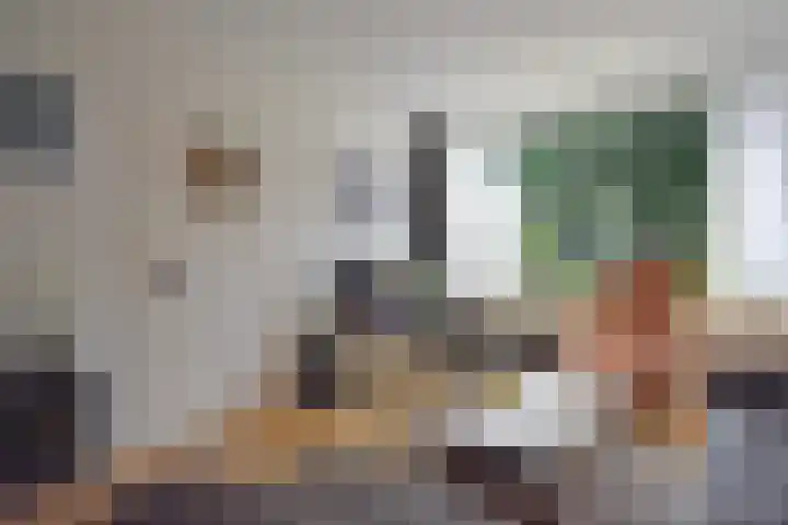 Roggemounewei 35 Burgum thumbnail 15