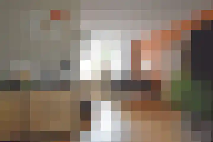 Roggemounewei 35 Burgum thumbnail 17