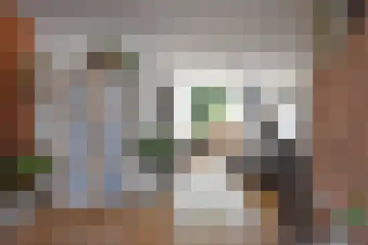 Roggemounewei 35 Burgum thumbnail 19