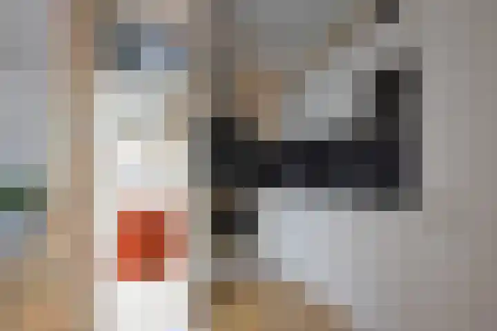 Roggemounewei 35 Burgum thumbnail 22