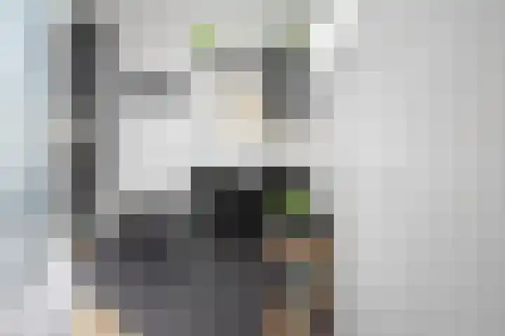 Roggemounewei 35 Burgum thumbnail 27