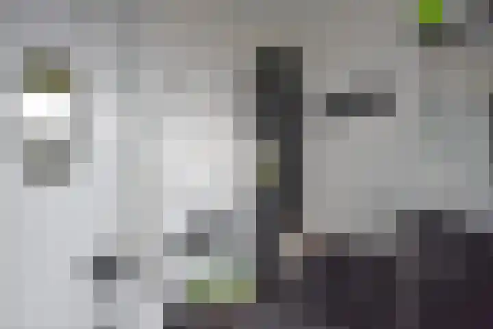 Roggemounewei 35 Burgum thumbnail 28