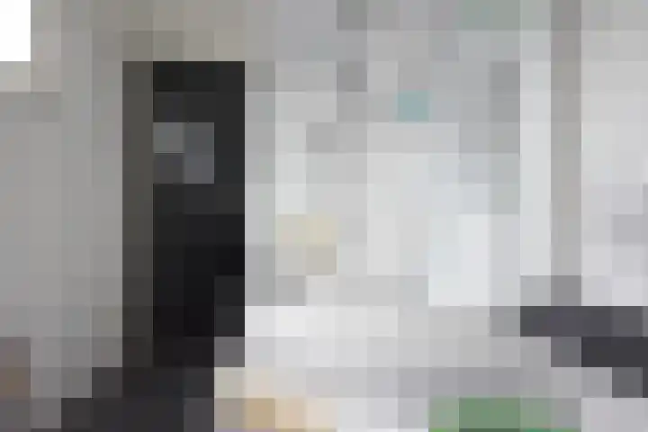 Roggemounewei 35 Burgum thumbnail 29